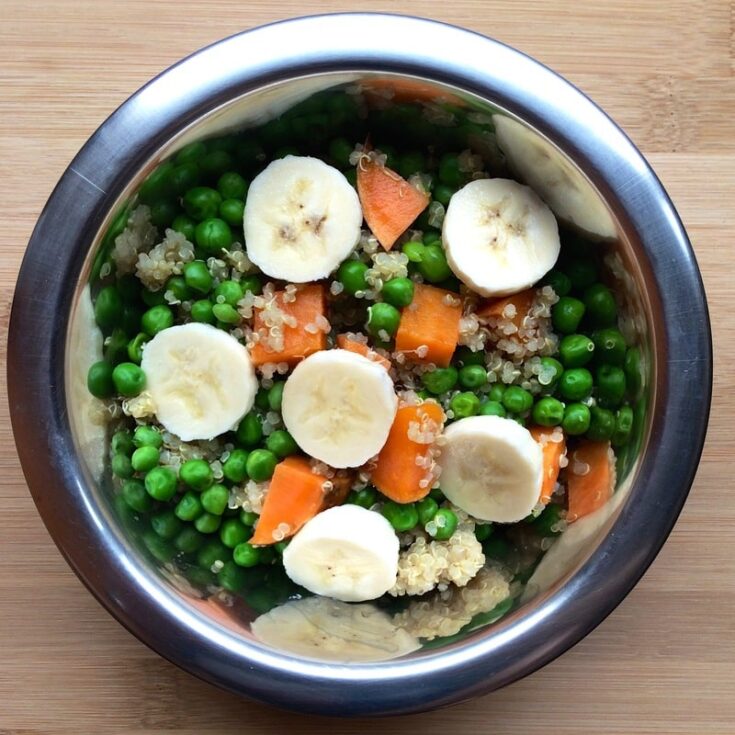 vegan plant-based dog food recipes